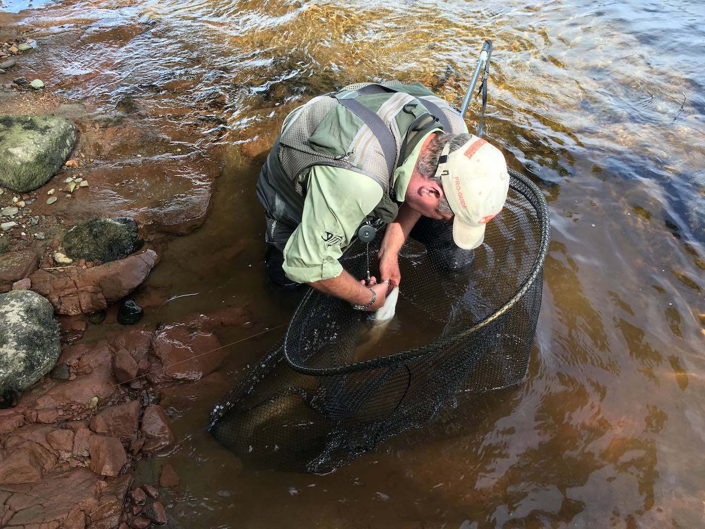 If the salmon fly fisher has done his job properly then this unhooking scenario is a foregone conclusion. This was one such successful salmon capture during Summertime on the River Tay near the Perthshire village of Stanley. This professional River Tay salmon guide was unhooking this salmon which I landed at the Croys Pool on the River Tay's Pitlochrie salmon beat. Note the salmon was being held in the landing net through this unhooking process.