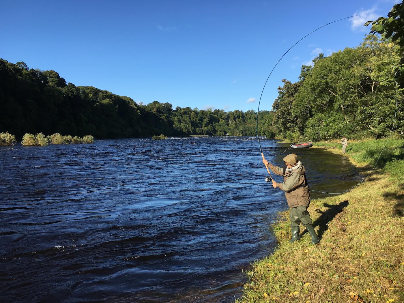 Here's a guided River Tay salmon fishing guest powering out a nice line with his Spey casting rod on the Catholes salmon fishing beat of the River Tay near Stanley. You can see his fishing buddy slightly upstream and behind him the traditional Tay salmon boat which I used to bring them across to this riverbank as their personal salmon fishing guide and boatman that day.