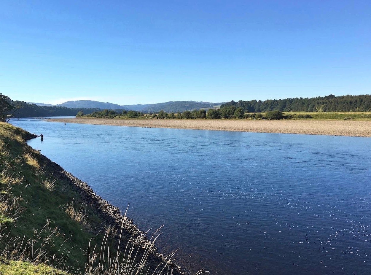 This is the Kercock salmon fishing beat of the River Tay. This perfect salmon fishing pool produces many salmon each year for our salmon fishing guide team when they host fishing trip guests on the River Tay. You can see the single salmon fisher and the Dunkeld hills in the distance.
