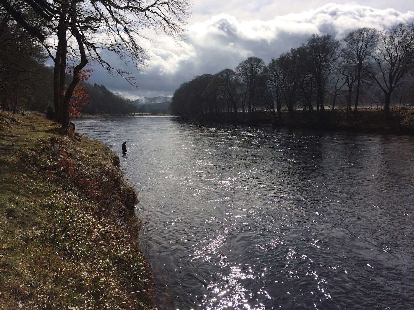 Here's a little sparkle of sunlight dancing off the water on the River Tay at Kinnaird. This shot was taken near Dunkeld on the Newtyle Beat during March just after one of the salmon fishing holiday guests had just landed a perfect 15lbs Spring salmon in the far distance at the Trap Pool. When salmon fishing in Scotland pay attention to these light conditions.