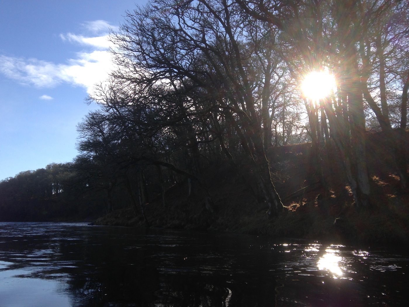 This early Spring sunlight shot was taken by myself at the tail of the Upper Kinnaird Beat's Rock Pool during late January as the low Winter sun was flickering its rays through the leafless riverbank beech and oak trees.