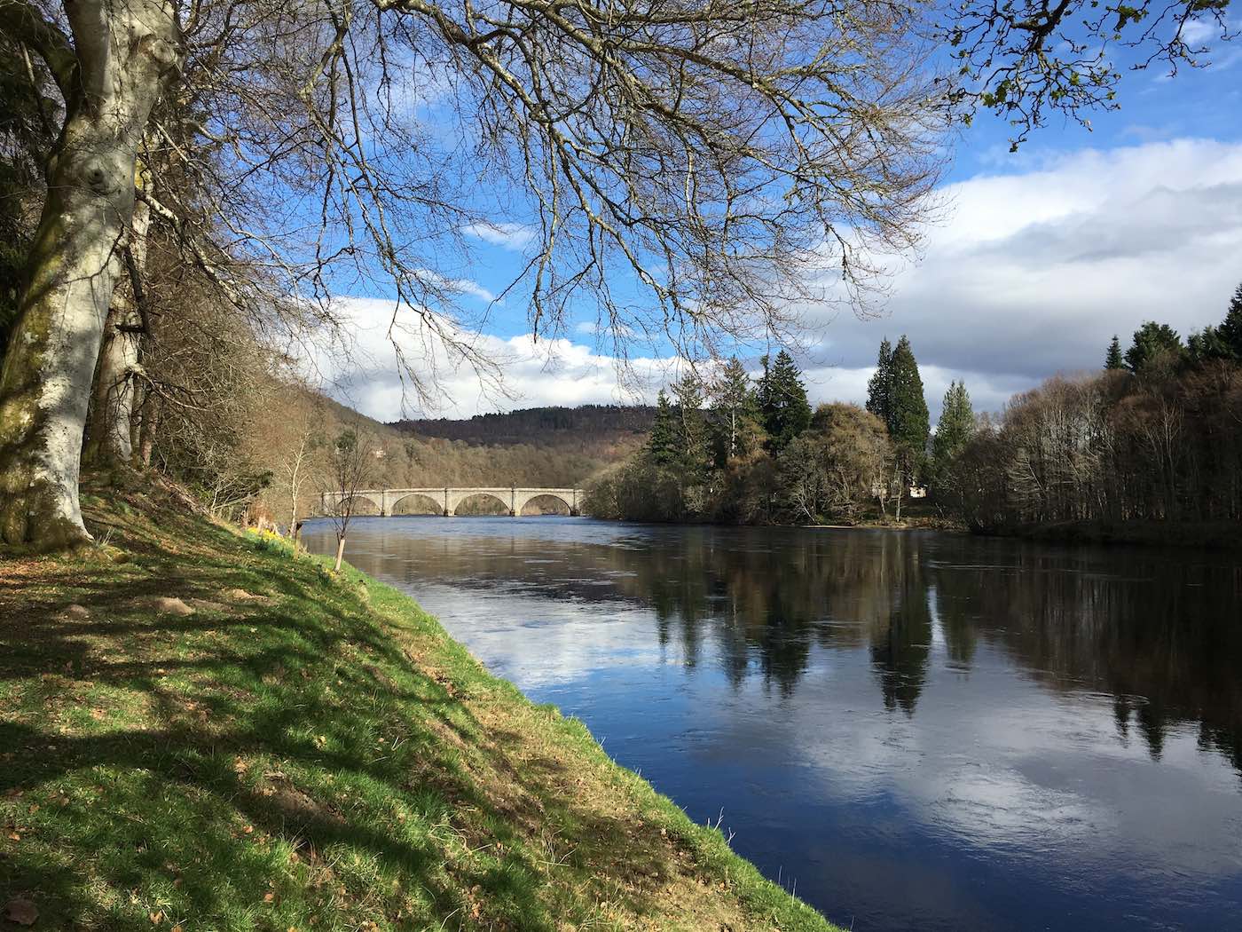 The is the Gauge Tree Pool at Dunkeld on the River Tay. Salmon love to stop here after powering up through the fast streamy water below the Dunkeld Bridge you can see in this distance making this a serious salmon fishing hot spot on the middle Tay. This lovely green grassy bank makes for easy spin fishing for salmon fishing guides and their fishing trip guests.