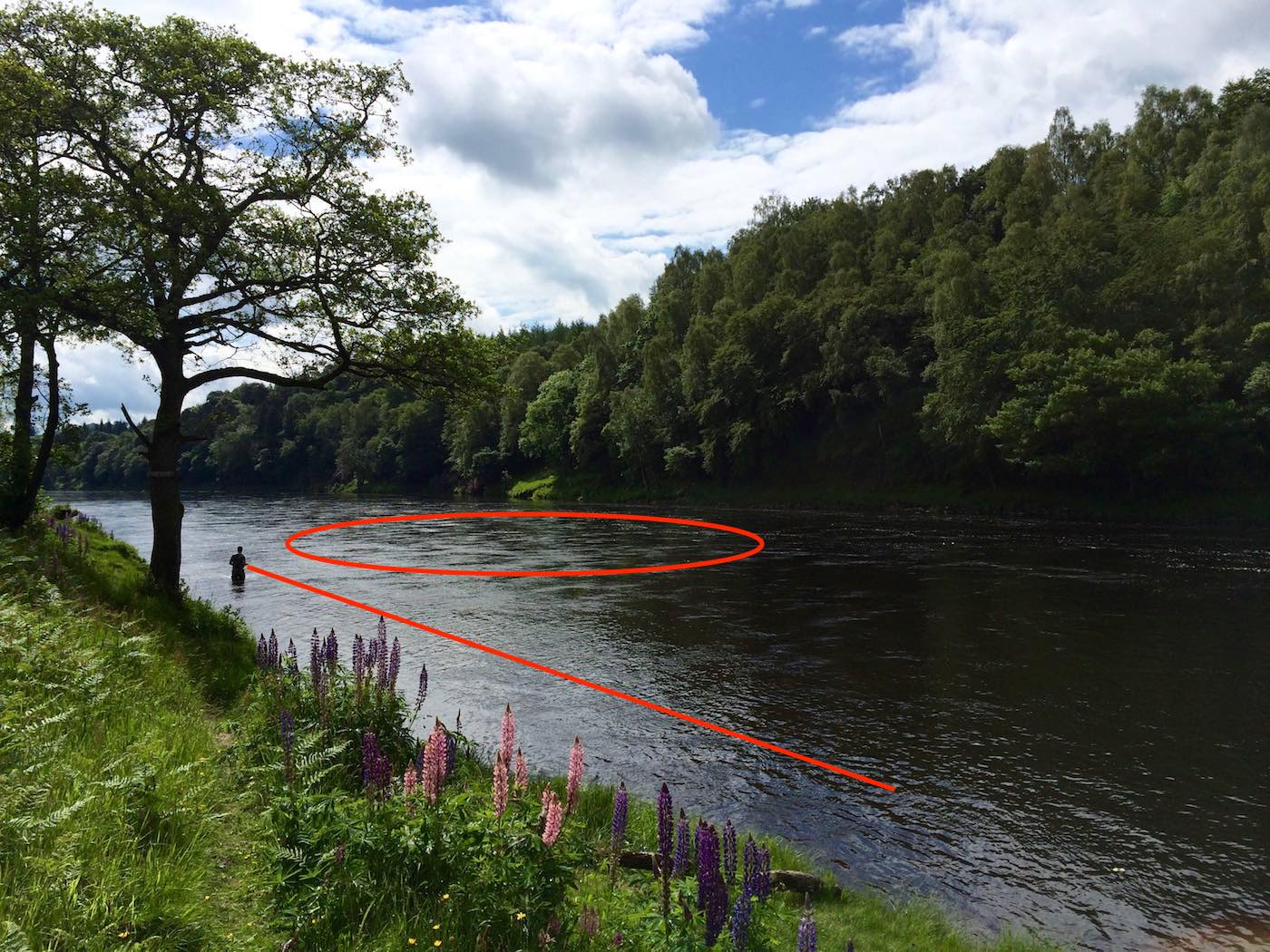 This is the Steps Pool on the Newtyle Beat of the River Tay and I've drawn the optimal wade line in red which allows anglers to fish through the pool safely and effectively without spooking any salmon that may be present. I took this downstream shot while working as this guest's salmon fishing guide for the day.