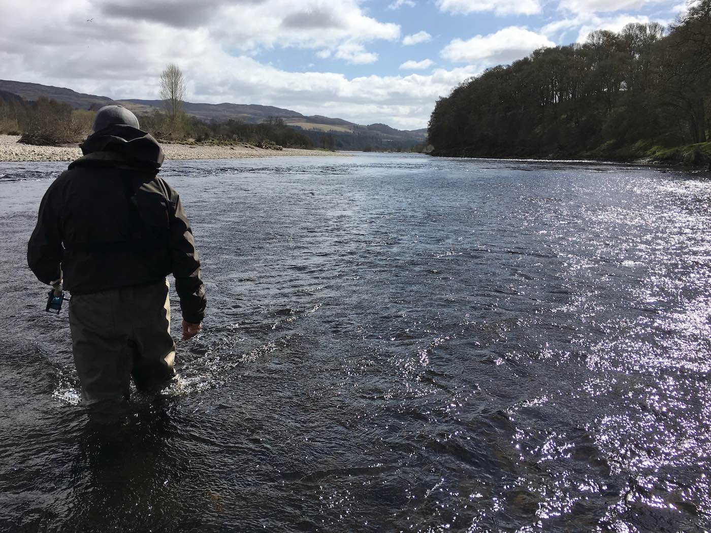 This guided salmon fishing trip guest came to learn how to wade properly & safely in the River Tay and to brush up on his general salmon fishing tactical approach. The gravel bank in the distance is where the River Tummel enters the Tay which is a great area for intercepting salmon which is not too far away from the Perthshire town of Pitlochry.