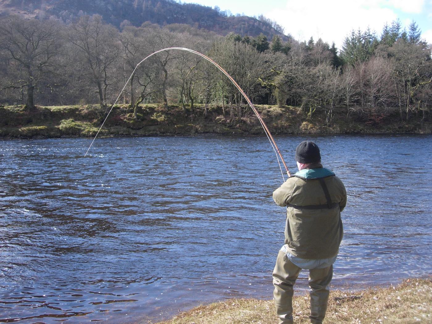 Here's Alan Rennie playing one of 5 Spring salmon he caught that with myself as his salmon guide in the boat that day. Look are the riverbank where there's no leaves on the trees yet there's some beautiful sunlight which just gave the surface of the water of the river enough warmth to get these fish on the move and in a 'taking' frame of mind. This photo was taken in the Cottar Pool on the Newtyle Beat of the River Tay.