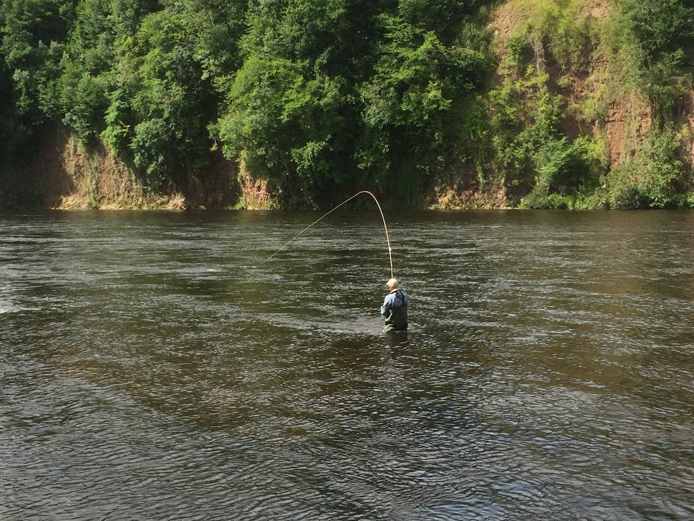 Here's one of our many guided salmon fishing guest playing 1 or 5 perfect lower River Tay salmon during July. A high rod tip like you see here is important when playing salmon to offset sudden jumps or surges and to keep the fly line high in the water column away from potential snags. Look at the lovely red sandstone cliffs on the far bank of the Tay.