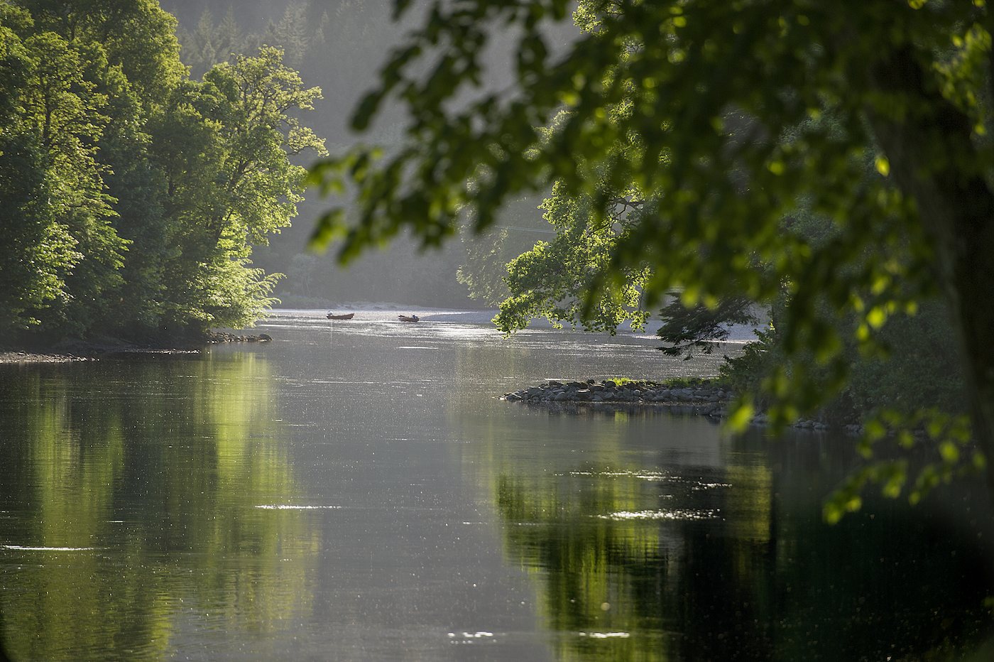 Here's a shot of the tranquil flowing River Tay slightly upstream of Dunkeld's historic Telford Bridge. This dark slow flowing glassy water is great salmon holding water at all times of the Scottish salmon fishing season as salmon can easily rest up in gentle flows like this.
