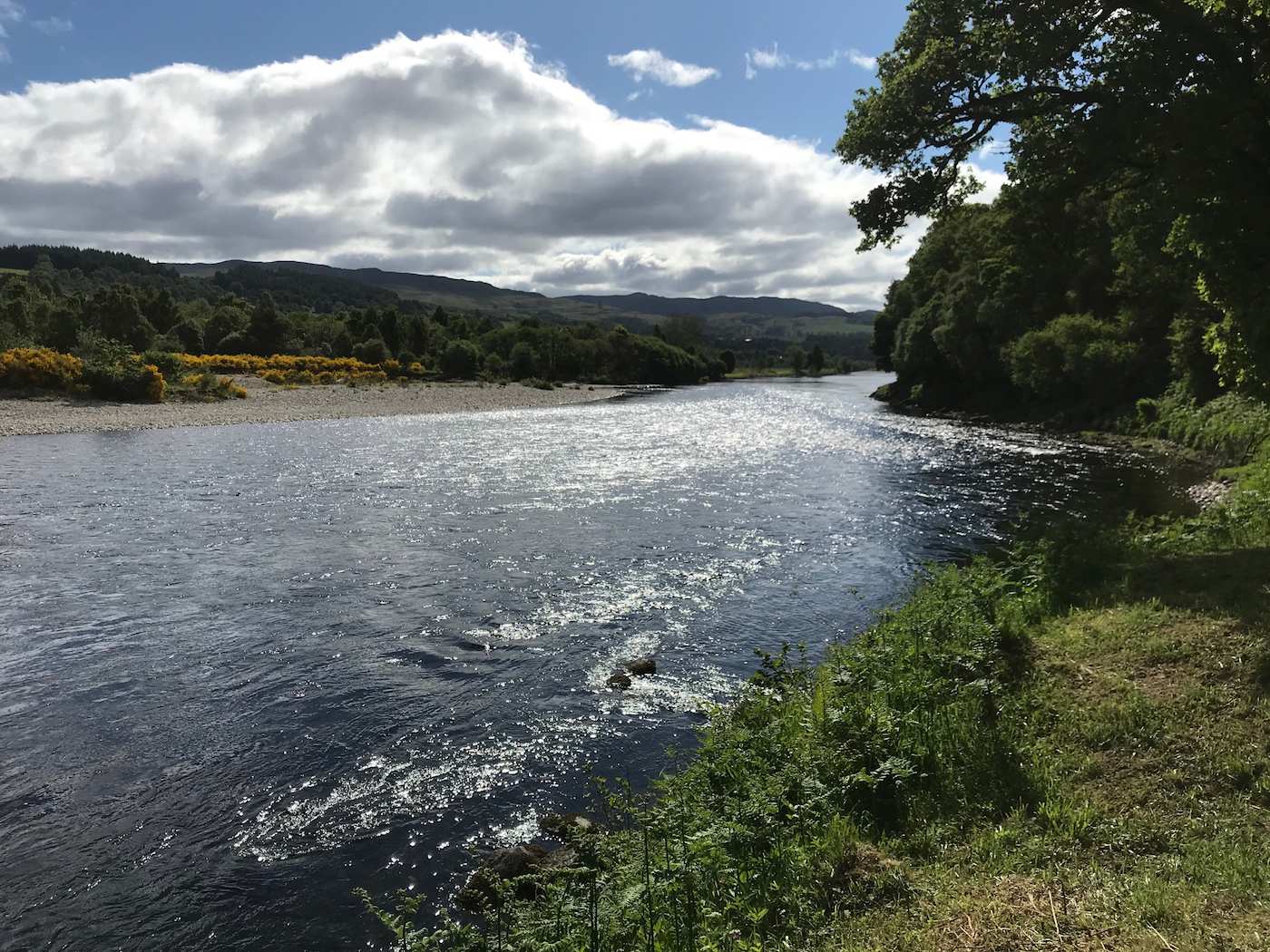 This is the lovely right hand bank of the March Pool of the River Tay near Dunkeld which is a popular salmon fishing pool for anglers. This glorious shot was taken during June hence the perfect riverbank beauty. The Tay is Scotland's largest salmon river and is located in Central Scotland for easy commuting. Look at the perfect shimmering river water in this photograph which I took during June.