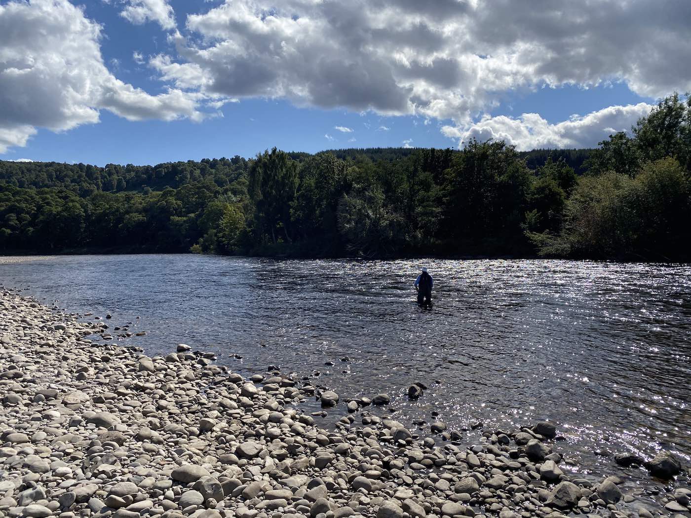 A professional salmon guide is best placed to teach you the important salmon fishing skills. Don'y waste your spare time guessing about how to fish for salmon. This angler is out fly fishing the Mike's Run Pool of the River Tummel near Pitlochry following some intensive yet highly effective salmon fly fishing tuition.