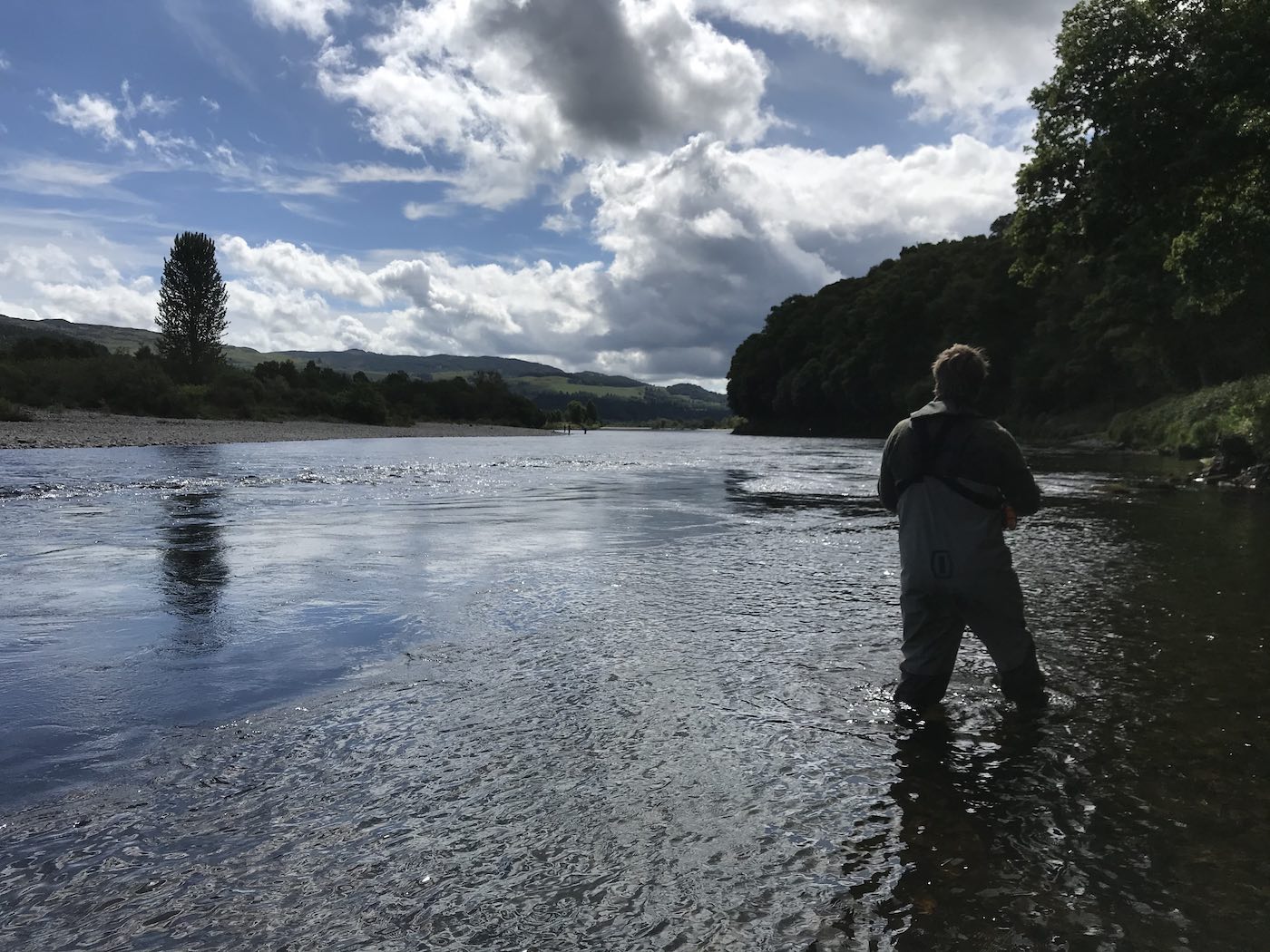 Take careful small step when you're wading on unfamiliar riverbeds and don't commit your weight to your leading foot until you've got a firm riverbed footing. Here's one such angler doing just that on the River Tay near Pitlochry during good low water wading conditions.