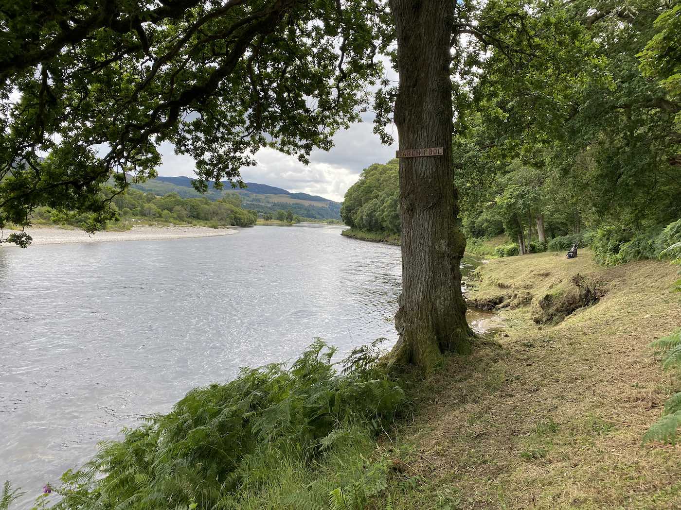 Here's a fine shot of a beautiful oak tree that's located right at the  River Tummel confluence of the River Tay. These perfectly cut riverbanks are important for the general  enjoyment and safety of visiting salmon fishers. This perfect area of the River Tay Valley is located close to the Perthshire towns of Dunkeld & Pitlochry.