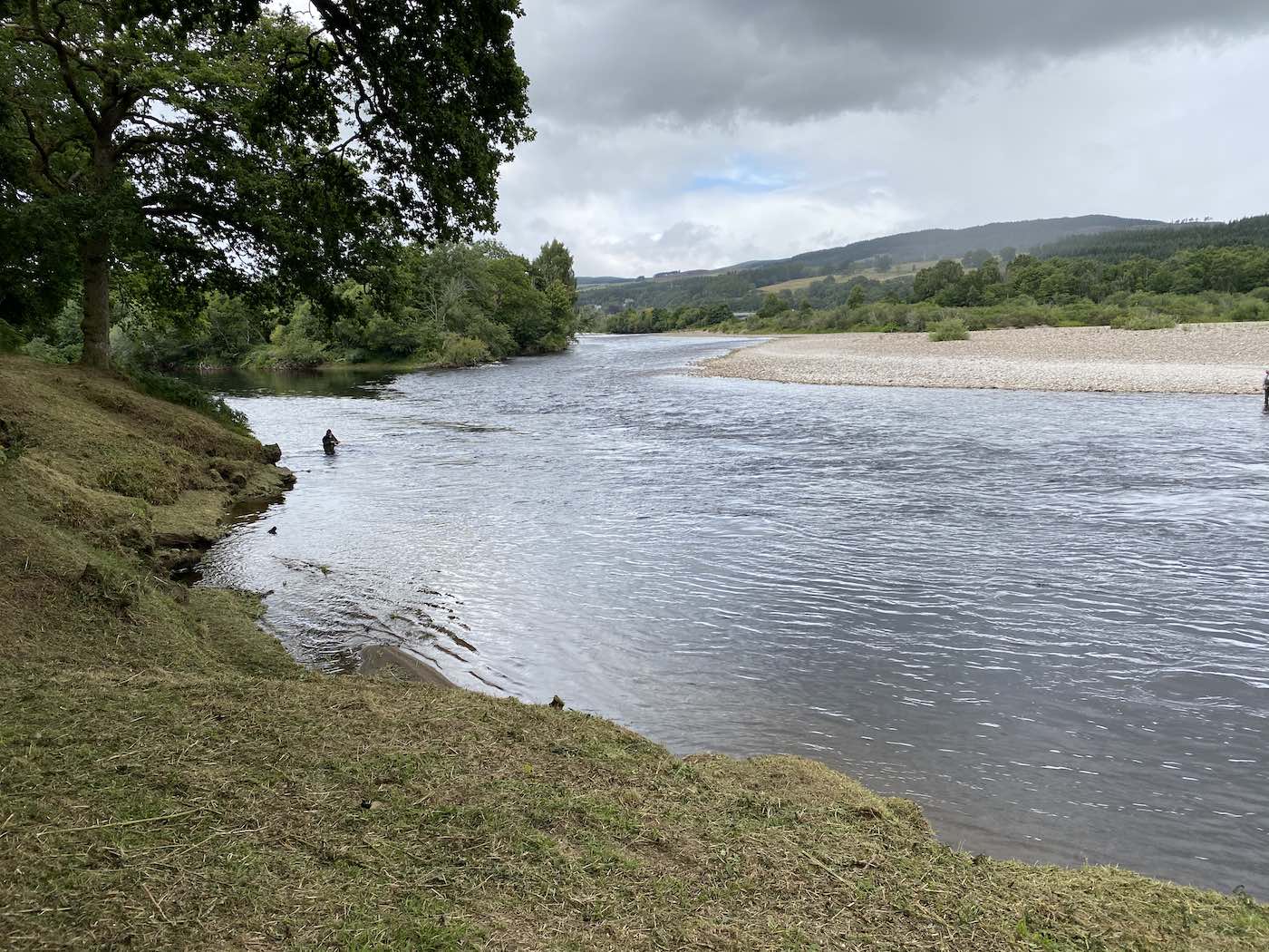 Look at this perfectly cut riverbank which not only looks great but make it safe for visiting salmon fishers to walk over. Safety is important on an uneven riverbank so anglers can always see where they are stepping to avoid tripping. A well groomed salmon beat is also a direct reflection of the passion levels of ghillie in charge of the beat. This lovely shot was taken on the River Tay between Pitlochry & Dunkeld.