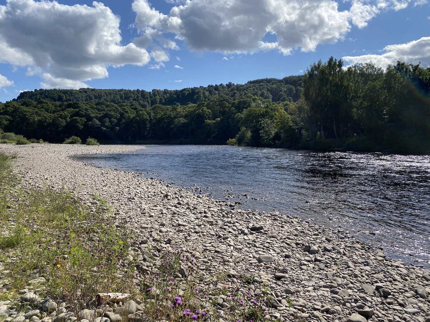 This shot was taken at the tail of the Mike's Run Pool on the River Tummel during June. This is the very last pool on the River Tummel system before it joins the River Tay in the distance in front of the tall tree line you can see. Look at the perfect gravel & small stone riverbank that the high water pressure Tummel has created.