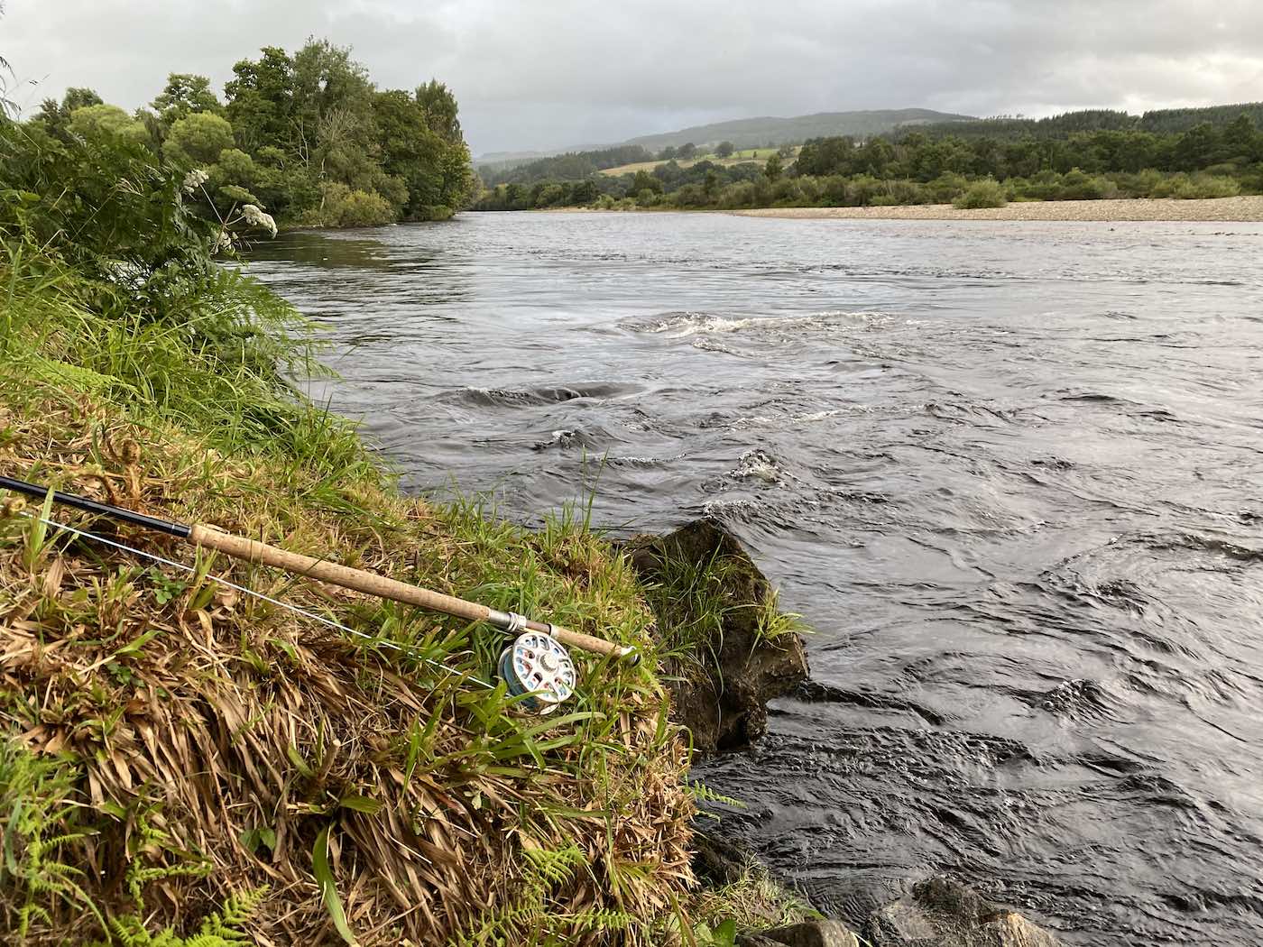 During periods of high water like this on the River Tay you need to be searching for salmon close to the edge of the riverbank as fish will lie in close during these conditions. It's also safer for a salmon fisher not to wade into the river during such conditions. Learn how to catch salmon and approach the salmon river correctly with a professional Scottish salmon guide. This is my salmon fly rod and reel lying at the side of the river in this high water photograph.