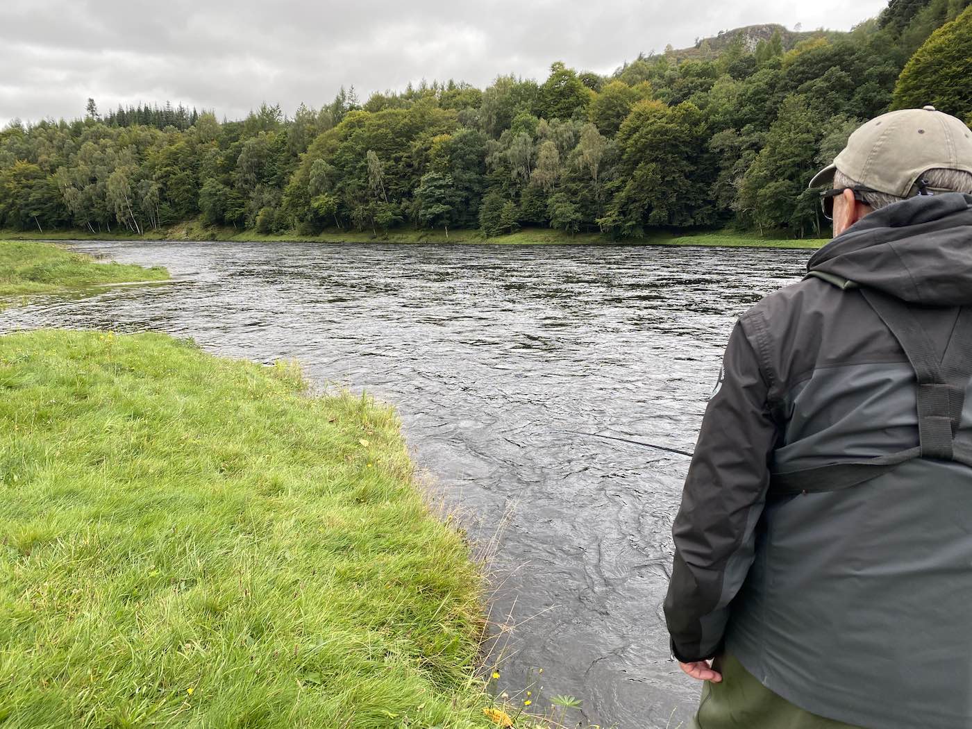 During higher water levels like this you don't have to wade into the river as the river can be fished from the numerous and safer grassy riverbanks liuke this salmon angler is doing. Salmon are located close to the river edge in high water so your fly should be fished right into the edge before recasting. This green grassy bank is on the tail of the Cottar Pool on the Newtyle Beat looking down to the Boil Pool in the distance.