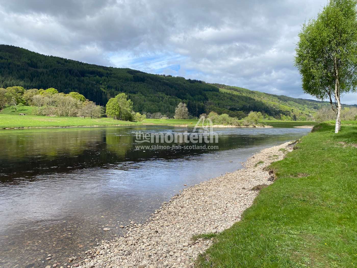 Dalmarnock