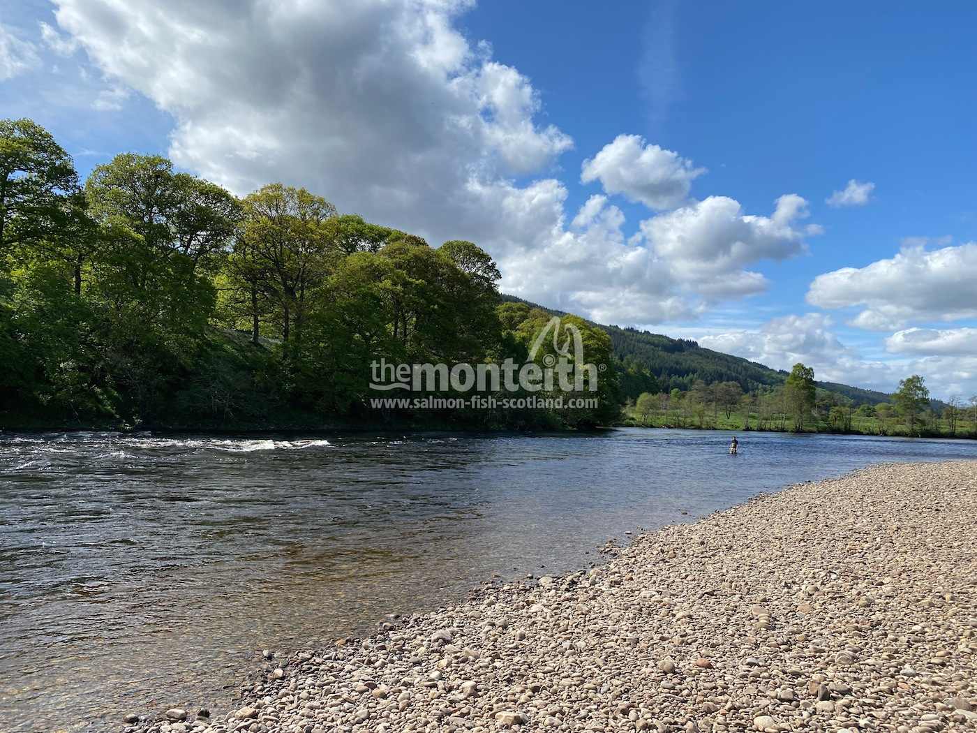 Dalmarnock Beat