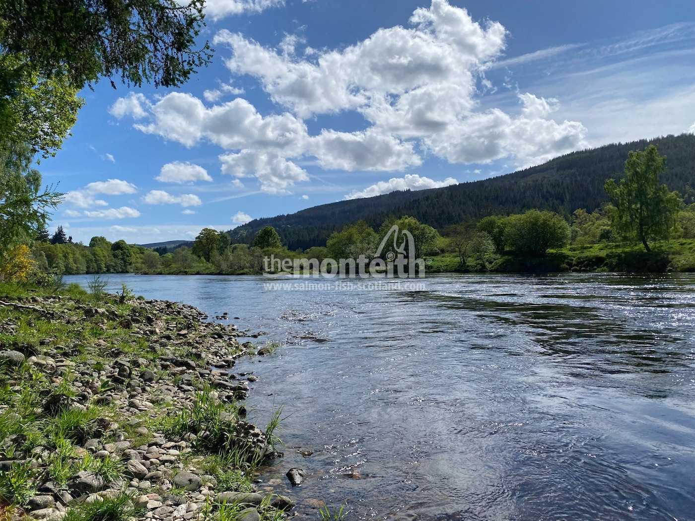 Dalmarnock Beat