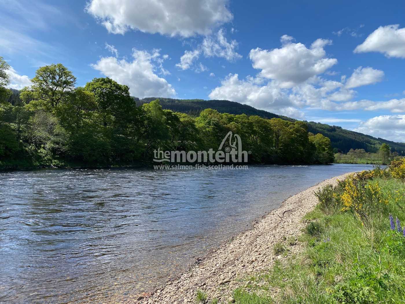 Dalmarnock Beat
