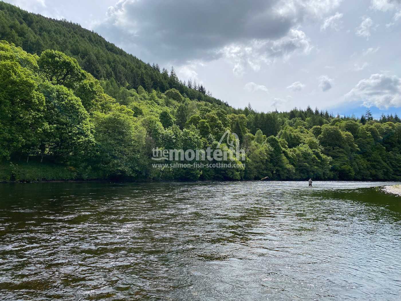 Dalmarnock