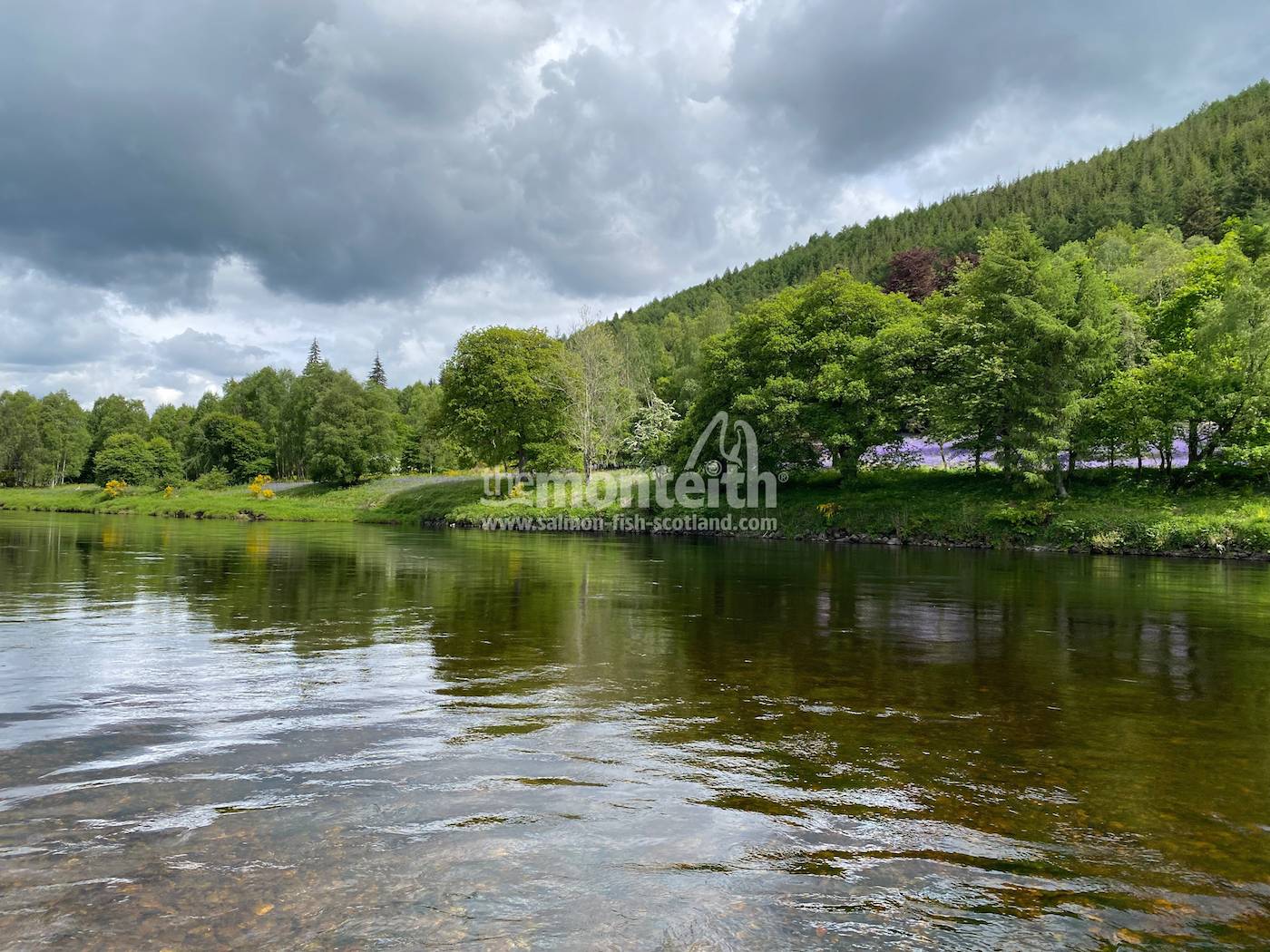 Dalmarnock