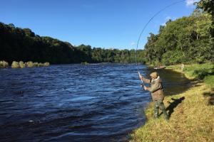 Tactical Salmon Fishing Skills