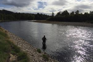 Fly Fishing For Salmon