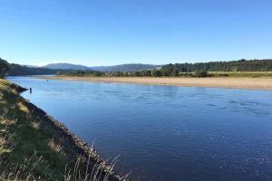 Scottish Salmon Fishing Facts