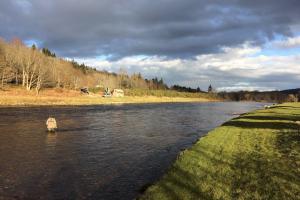 River Dee Salmon Fishing