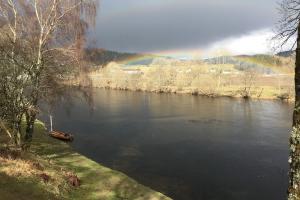 Salmon Fishing Agents