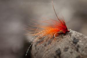 Salmon Fly Movement