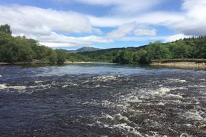 Colossal Scottish Salmon Runs