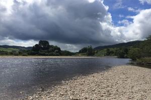 Salmon Fishing Conditions