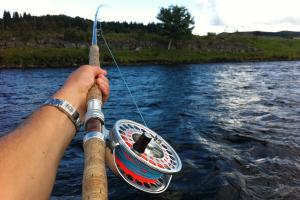 Talent Compensator Fly Lines