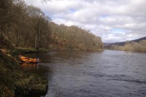 Where Salmon Lie