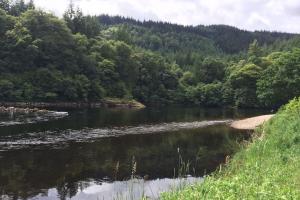Summer Salmon Fishing