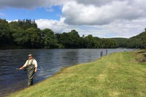 Salmon Fishing School