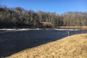 Cold Water Salmon Fishing