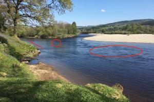 Salmon Fishing Advice