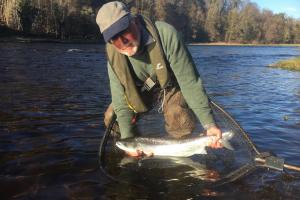 Catch A River Tay Springer