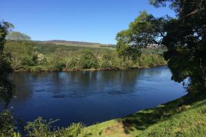 Living Salmon Rivers