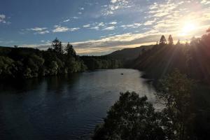 Salmon Predation Control