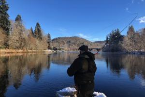 River Tay Salmon Fishing Report