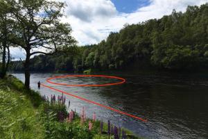 Salmon Lie Approach