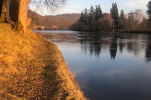 Salmon Pool Perfection