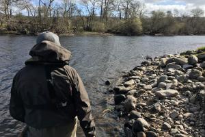 Salmon River Stealth