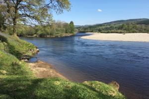 Changing Salmon Pools