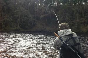 The Spey Cast Power Stroke