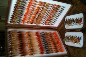 Salmon Fishing Preparedness