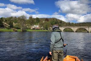 Salmon Fishing Reality